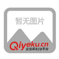 供應Rukycon電解電容25V/10UF(圖)